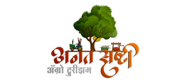 Anant Shrushti